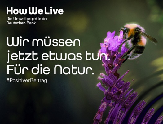 How We Live Programm: Biene in Natur